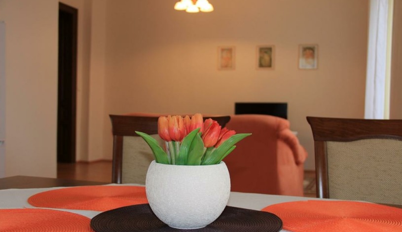 Apartmenty Sophie Karlovy Vary - Sophie 2